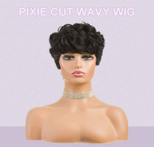 Short curly wigs for sale  Kenner