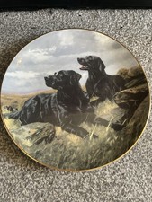 Labrador dog plate for sale  WISBECH