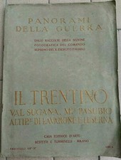 Guerra mondiale trentino usato  Torino
