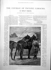 Old antique print for sale  UK