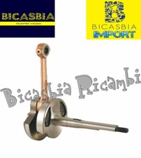 18254 import albero usato  Cerignola