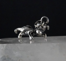 Charm anhänger silber gebraucht kaufen  Feucht