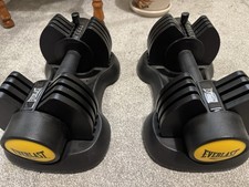 Adjustable dumbbell everlast for sale  GRANTHAM