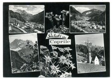 Caprile belluno cartolina usato  Fontegreca