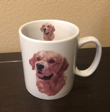 Golden retriever dog for sale  Saint George
