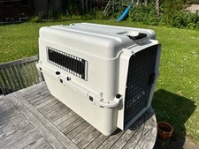 Airline approved dog for sale  HORSHAM