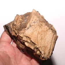 Dinosaur bone chunk for sale  Isabel