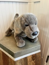 Cassie weimaraner dog for sale  Boise