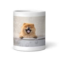 Chow chow pup for sale  Milwaukee