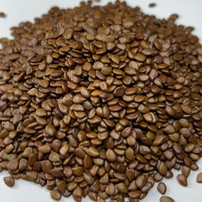 Desmanthus illinoensis seeds for sale  Portland