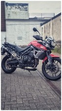 Triumph tiger 800 gebraucht kaufen  Wuppertal