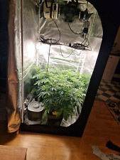 Growbox komplettset 90x90x180 gebraucht kaufen  Unkel