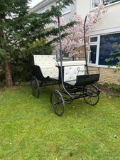 carriage horses for sale carriage horses for sale ABINGDON