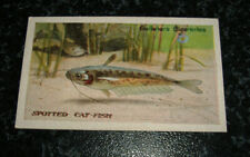 Gallaher zoo aquarium for sale  UK