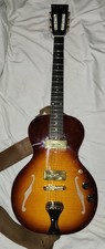 Hollow body guitar for sale  Munster