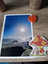 Photography prints for sale  SWANSEA