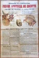 Affiche ancienne fièvre d'occasion  Fouras