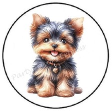 Yorkshire terrier dog for sale  Palm Springs