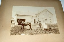 Antigo fazendeiro, cavalo e arado vitoriano americano! Foto de armário doméstico e de cachorro de estimação! comprar usado  Enviando para Brazil