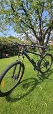 Mtb fahrrad gebraucht kaufen  Hilter