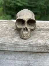 Vtg skull shift for sale  Onsted