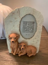 Golden retriever yellow for sale  Jacksonville
