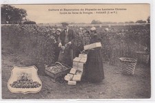 Parame culture and d'occasion  Expédié en Belgium