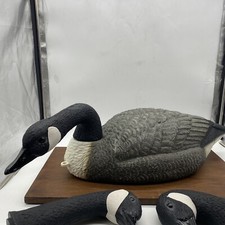 Carry lite goose for sale  Bensalem