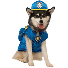 chase paw patrol usato chase paw patrol usato Roccagloriosa