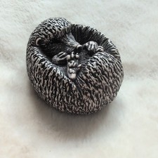Baby hedgehog garden for sale  LEEDS