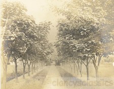 landscape photo s for sale landscape photo s for sale Eugene