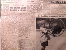 Pagina anni ww2 usato  Enna