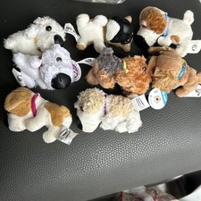 Rare dog artlist for sale  PLYMOUTH