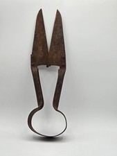 Vintage sheep shearing for sale  Lexington