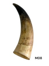 UN CUERNO DE VACA MEDIANO SIN PULIR, CUERNO REAL, ÚNICO EN SU CLASE, COLOR NATURAL, #08 segunda mano  Embacar hacia Mexico