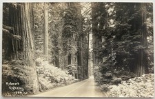 Vintage rppc redwood for sale  Pflugerville