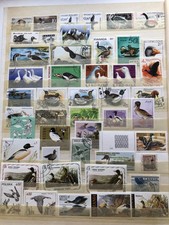 Sammlung enten gänse gebraucht kaufen  Velten
