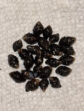 Black grape drupe for sale  Kapaa