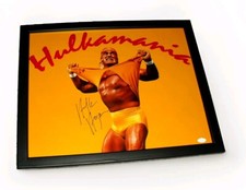 Hulk hogan hulkamania for sale  Canton