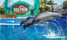 Sea seaworld san for sale  San Diego