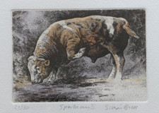 Simon bull. signed for sale  BATH