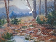 Richard robjent woodcock for sale  UK