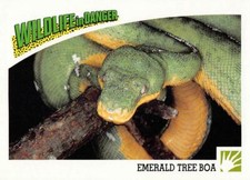 1992 panini wildlife for sale  Seymour
