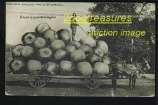 Rppc horse drawn for sale  Onalaska