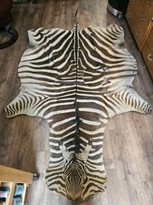 Vintage zebra skin for sale  PORTSMOUTH