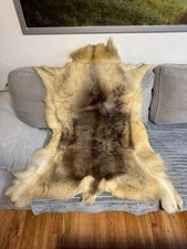 Rentierfell echt 128cm gebraucht kaufen  Meißen-Umland