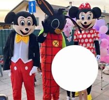 Vendita mascotte costume usato  Zimella