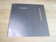 The amazing wait gebraucht kaufen  Nagold