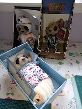 Baby oleg meerkat for sale  RUGBY