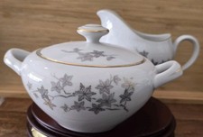 Moderne fine china for sale  Tempe